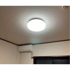 アムール もみの木のサムネイル