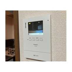 アムール もみの木のサムネイル