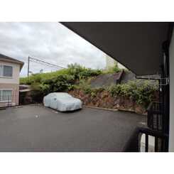 アムール 山崎のサムネイル