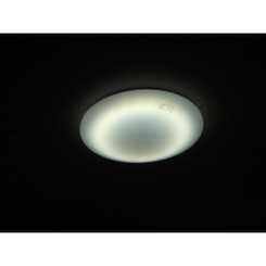 アムールシャンテのサムネイル