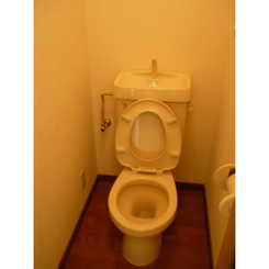 アムール清流のサムネイル