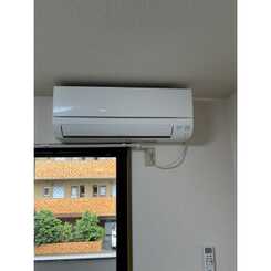 アムールフジのサムネイル