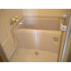 アムールフジのサムネイル