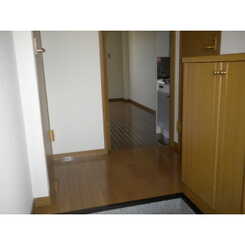 アムールフジのサムネイル