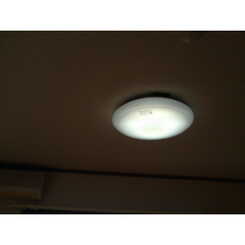 アムール　Majyesのサムネイル