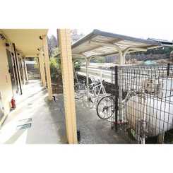 アムール YUGIのサムネイル