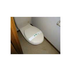 アムール リヴェールのサムネイル