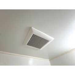 アムールアイのサムネイル