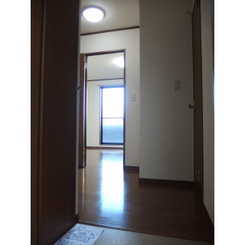 アムールWのサムネイル