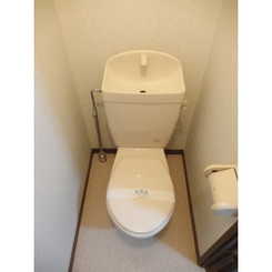 アムールWのサムネイル