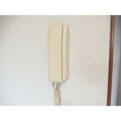 アムールWのサムネイル