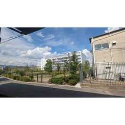 アムール 末成のサムネイル