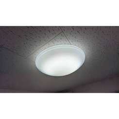 アムール 末成のサムネイル