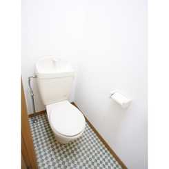 アムール 翼のサムネイル