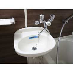 アムール 翼のサムネイル