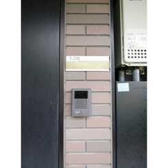 アムール 翼のサムネイル