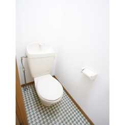 アムール 翼のサムネイル