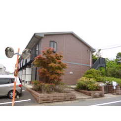 アムール 翼のサムネイル