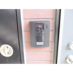 アムール AKのサムネイル