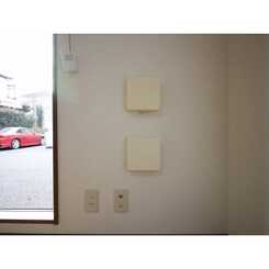 アムール AKのサムネイル