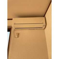 アムール AKのサムネイル