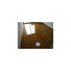 アムール ラヴィのサムネイル