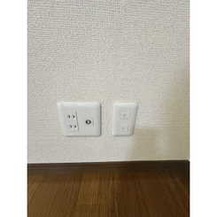 アンプルール リーブル 楓のサムネイル