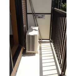 アムール クララのサムネイル