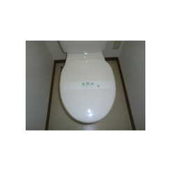 アムール 飯島のサムネイル