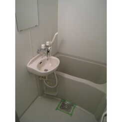 アムール 初雁のサムネイル