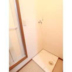 アムール 白樺のサムネイル