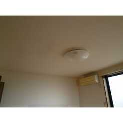 アムール 琴Ⅱのサムネイル