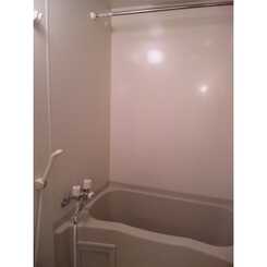 アムール 琴Ⅱのサムネイル