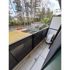 アムール シャルムKⅡのサムネイル