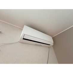 アムール シャルムKⅡのサムネイル