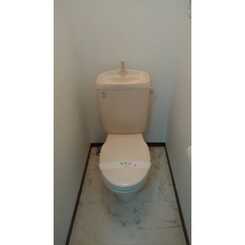 アム-ル Y’Sのサムネイル