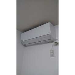 アム-ル Y’Sのサムネイル