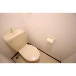 アムール Y/Sのサムネイル