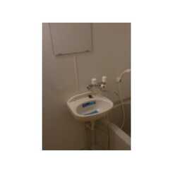 アムール Y/Sのサムネイル