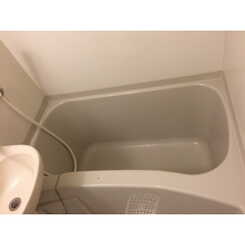 アムール元のサムネイル