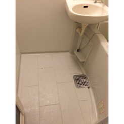 アムール元のサムネイル