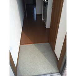 アムール元のサムネイル