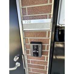 アムール元のサムネイル