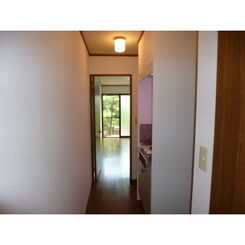 アムール エチゴのサムネイル