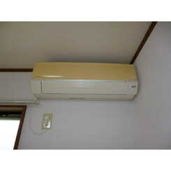 アムール エチゴのサムネイル