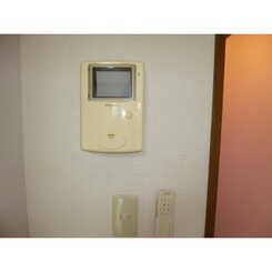 アムール エチゴのサムネイル