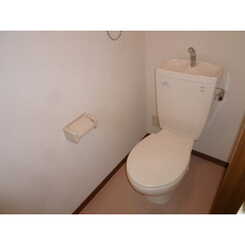 アムール エチゴのサムネイル