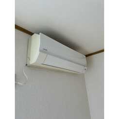 アムール ルネのサムネイル