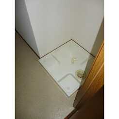 アムール ローズのサムネイル