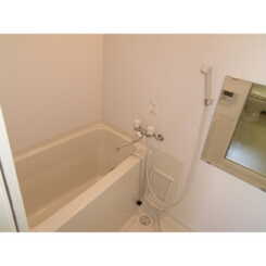 アムール シャルムのサムネイル